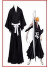 ชุดบลีส เทพมรณะ / Bleach บลีช เทพมรณะ