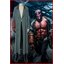 ชุดเฮลล์บอย /Hellboy เฮลล์บอย / ฮีโร่พันธุ์นรก