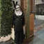 ชุดแม่ชี The nun / ชุดแม่ชีเดอะนัน / ชุดแม่ชีผี / ชุดผีแม่ชี