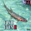 FISH EYES 2 [JP : 1 Disc]