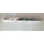 เลื่อยโซ่ตัดแต่งกิ่งไม้แบบไร้สาย8" 18V รุ่น BRL-8J314 BERALA
