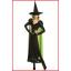 ชุดมอร์ทิเชีย แอดดัมส์ / ชุด Morticia Addams / ชุดอดัมแฟมิลี่