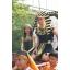 คลิ๊กเลยจ้า รูปพรีวิว จากลูกค้าบางส่วน # 17