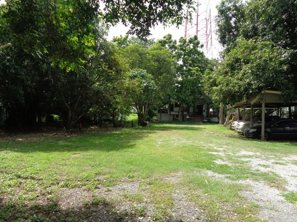 🚩H1273 ขายที่ดินทำเลดี ย่านธุรกิจ 4 -1 -68 ไร่ ติดถนนท่ามะนาว ใกล้ที่ว่าการอำเภอชัยบาดาล จังหวัดลพบุรี