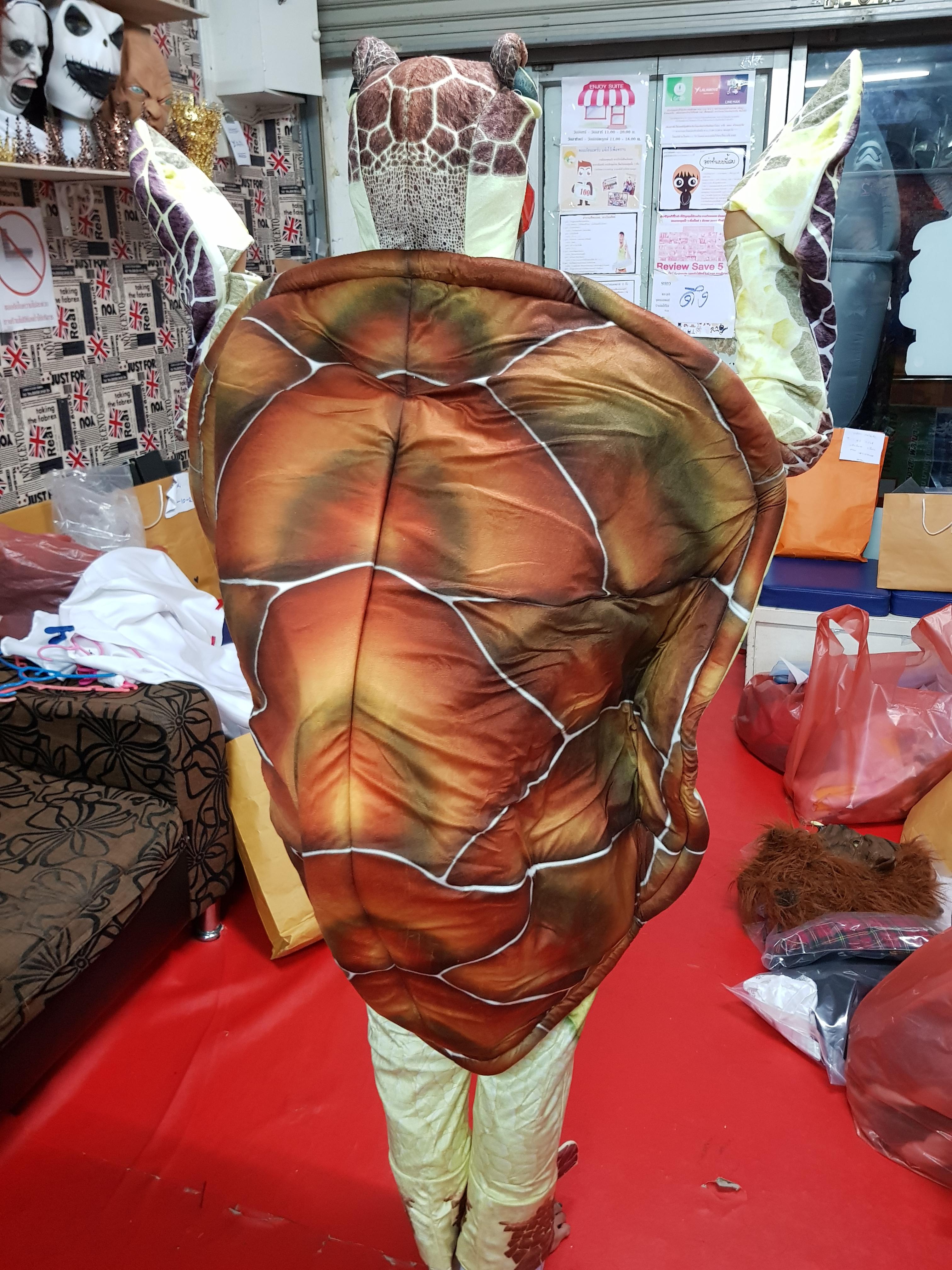 ชุดเต่าตนุ