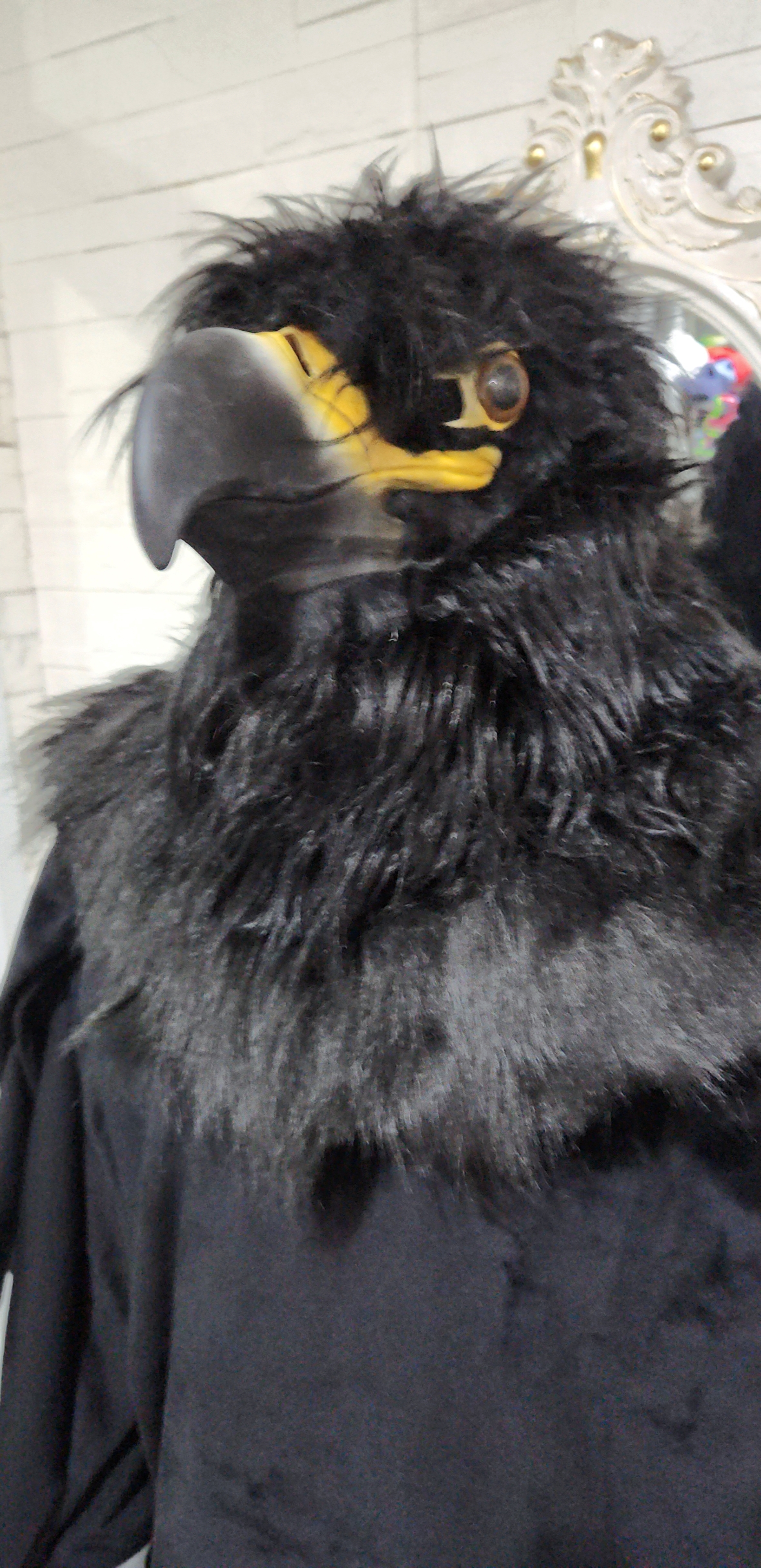 ชุดอีกา / ชุดนก / ชุดสัตว์ / ชุดกาดำ / ชุดหน้ากากอีกา