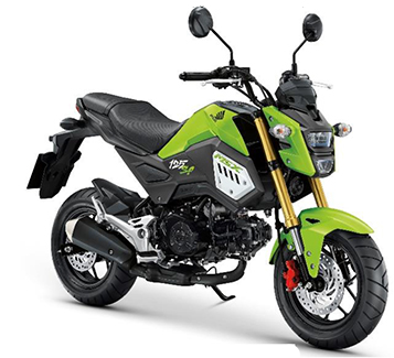 ชุดสี MSX125i SF (2018)