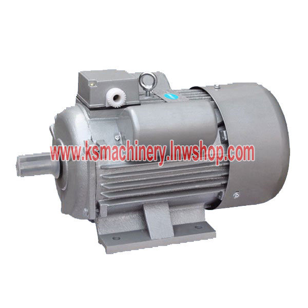 มอเตอร์ไฟฟ้า สตาร์ รุ่น YC90S-4 ลวดอลูมิเนียม IP44 (1450 RPM / 1 HP)