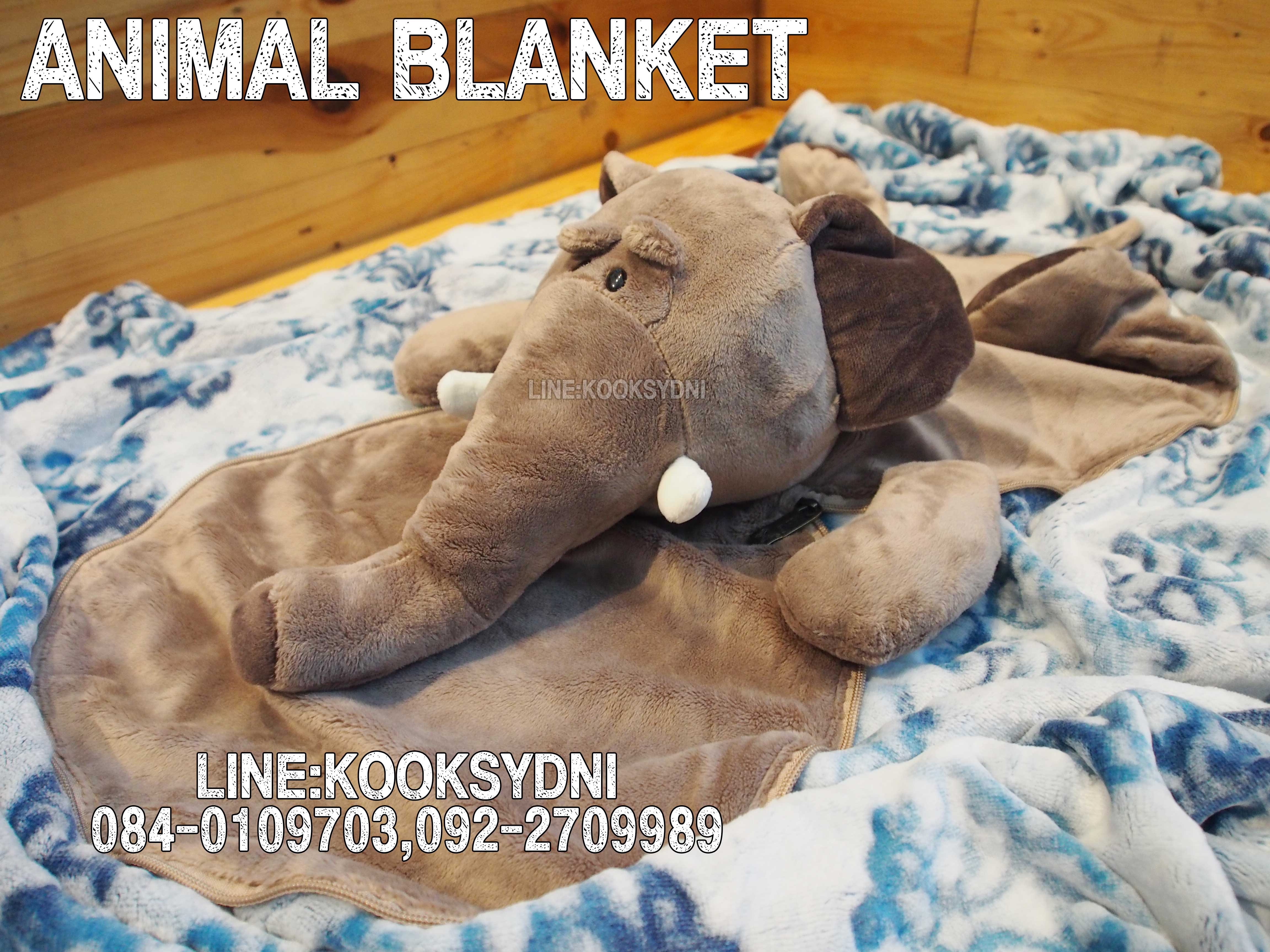ANIMAL BLANKET ช้างช้างช้าง