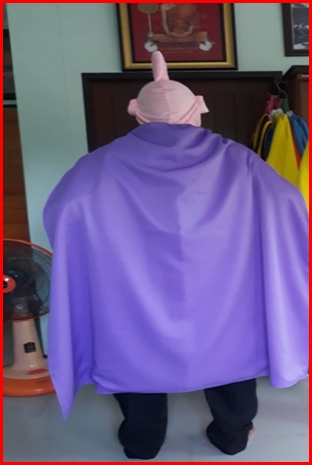 ชุดจอมมารบูแบบอ้วน / buu majin