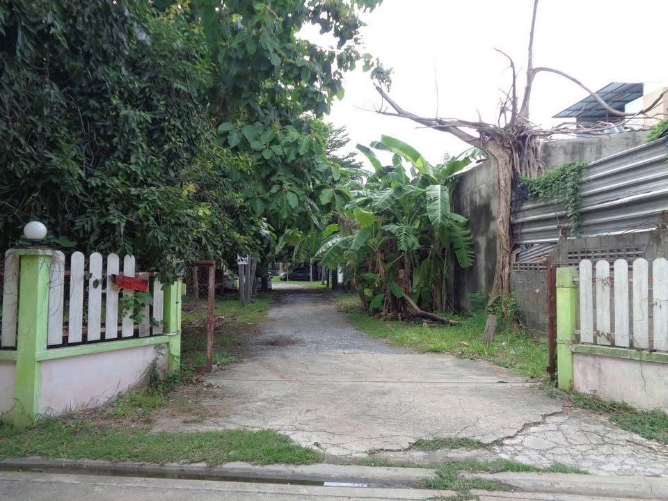 🚩H1273 ขายที่ดินทำเลดี ย่านธุรกิจ 4 -1 -68 ไร่ ติดถนนท่ามะนาว ใกล้ที่ว่าการอำเภอชัยบาดาล จังหวัดลพบุรี