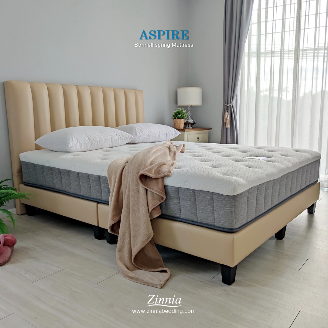 ที่นอนเสริมยางพารา รุ่นASPIRE