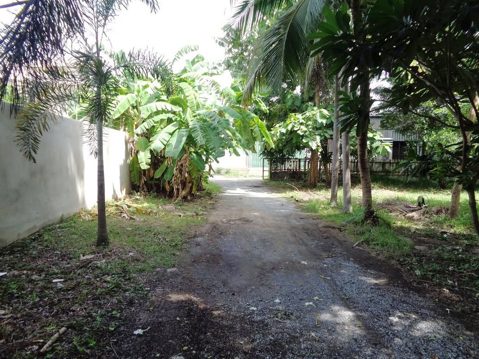 🚩H1273 ขายที่ดินทำเลดี ย่านธุรกิจ 4 -1 -68 ไร่ ติดถนนท่ามะนาว ใกล้ที่ว่าการอำเภอชัยบาดาล จังหวัดลพบุรี