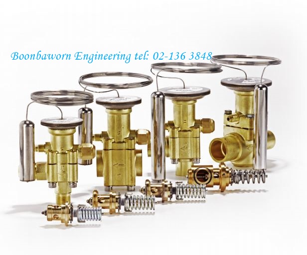 Thermostatic element TEX R22