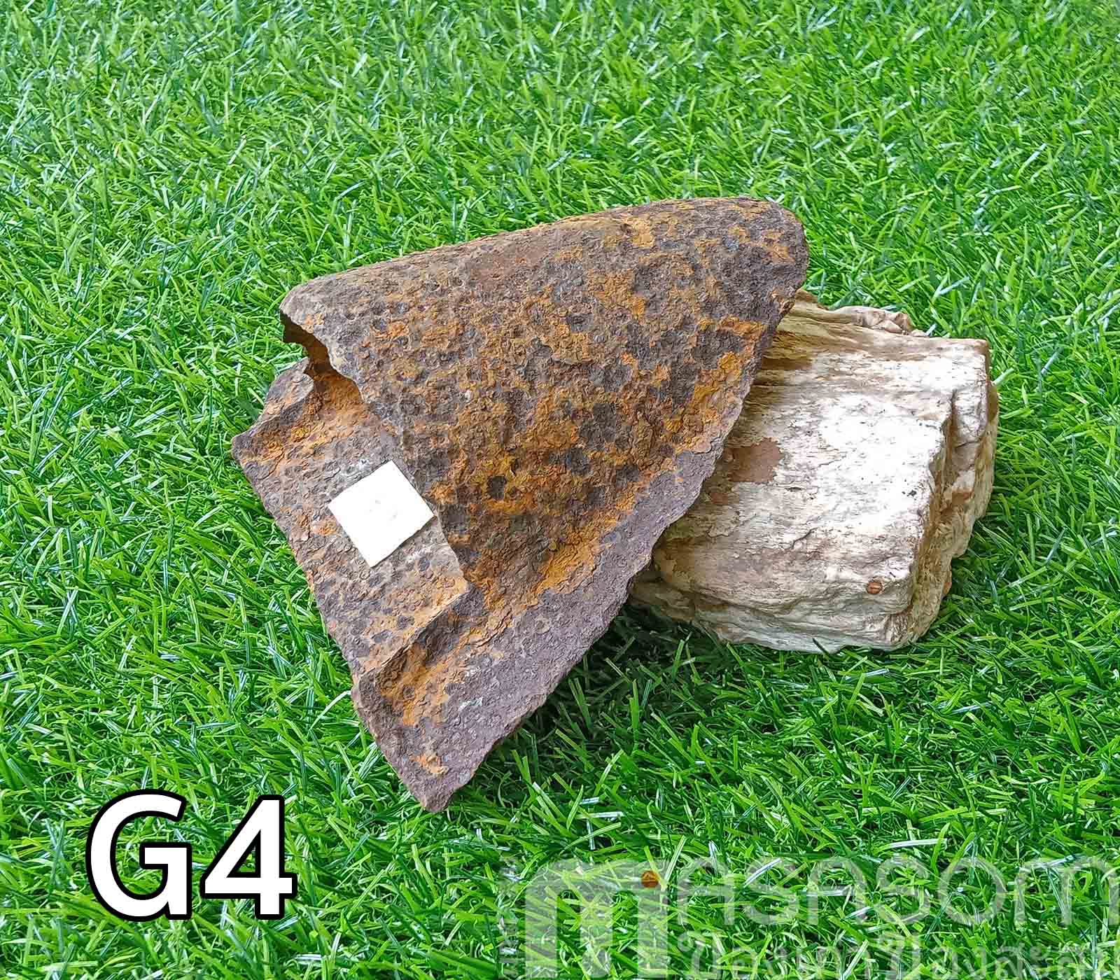 ผานไถนาโบราณ G4