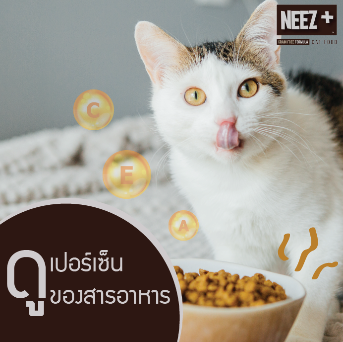 NEEZ+อาหารแมว นีซพลัส เกรนฟรี พรีเมี่ยมสำหรับน้องแมว 🐥สูตรแมวใหญ่ 1 กิโล 250.- เหมาะกับแมวโต อายุ 4 เดือน-12 ปี (ฟรีส่ง)