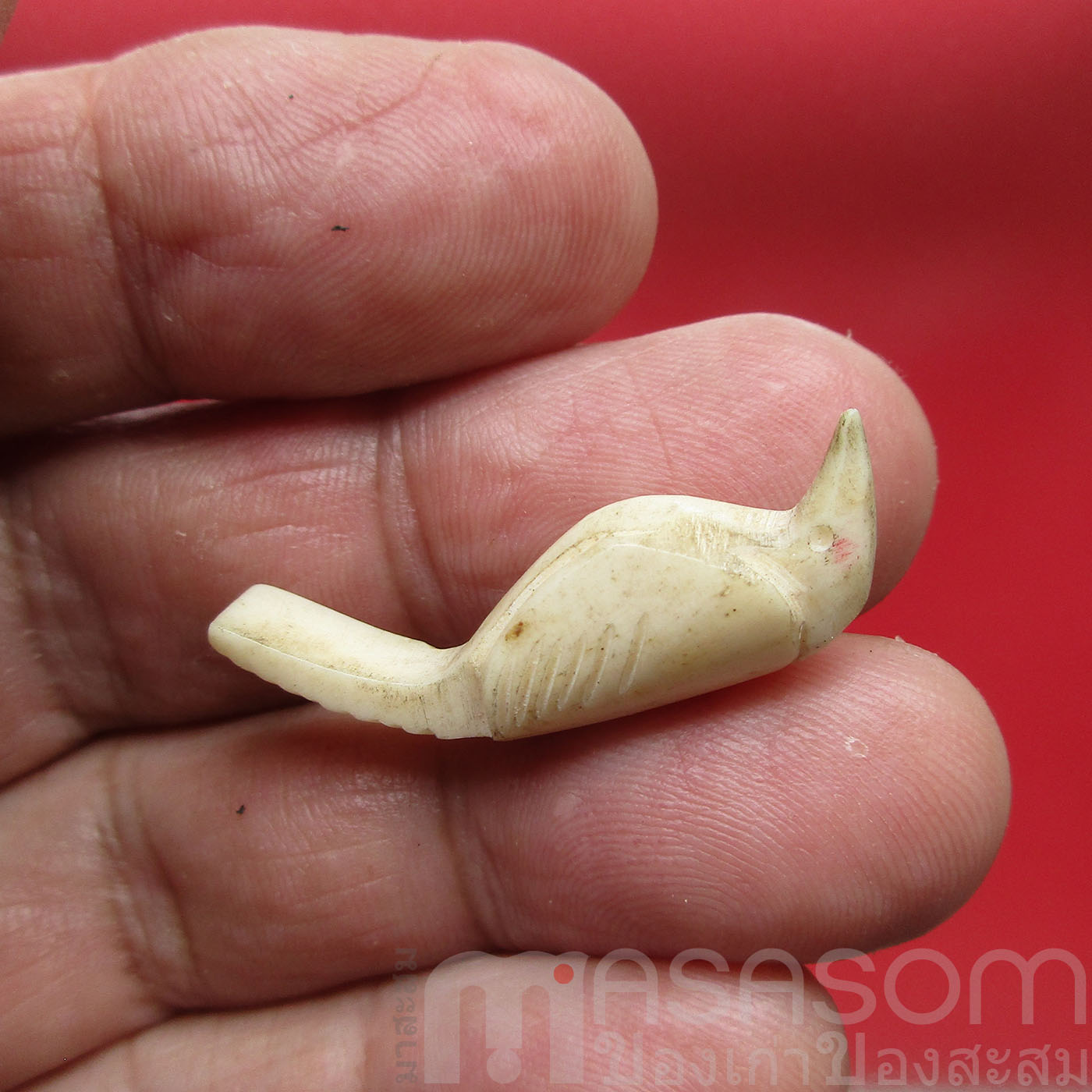 สาลิกาลิ้นทอง