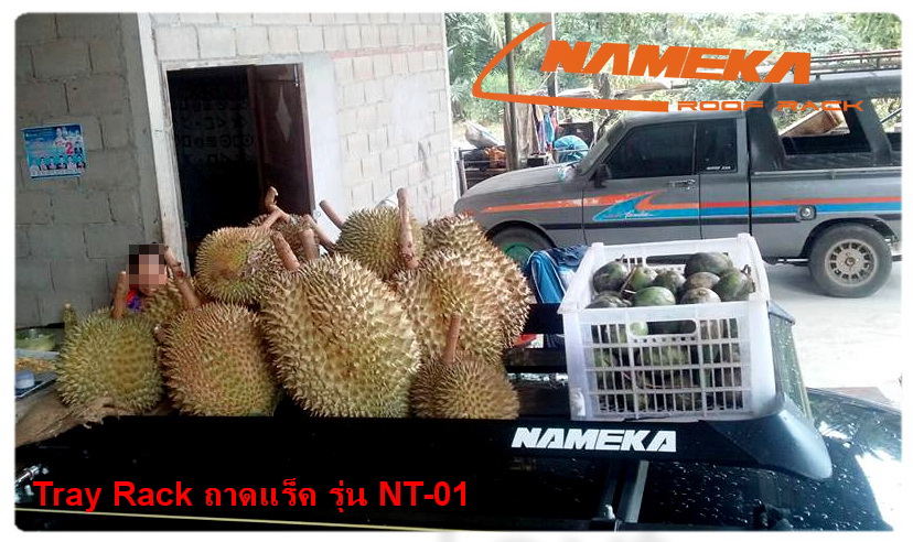 Tray Rack ถาดแร็คหลังคา ถาดสัมภาระ รุ่น NT-01