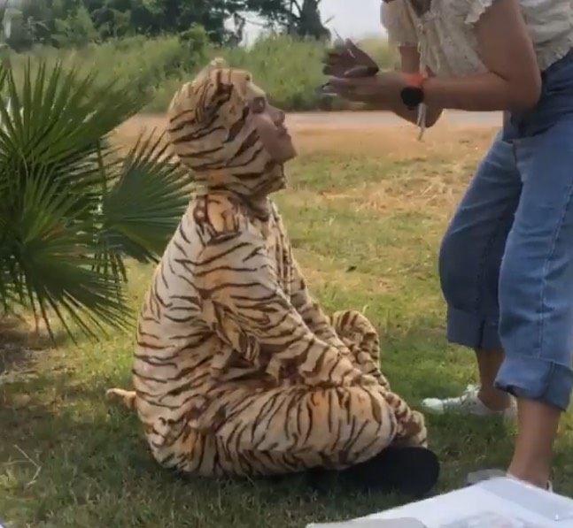 ชุดเสือ