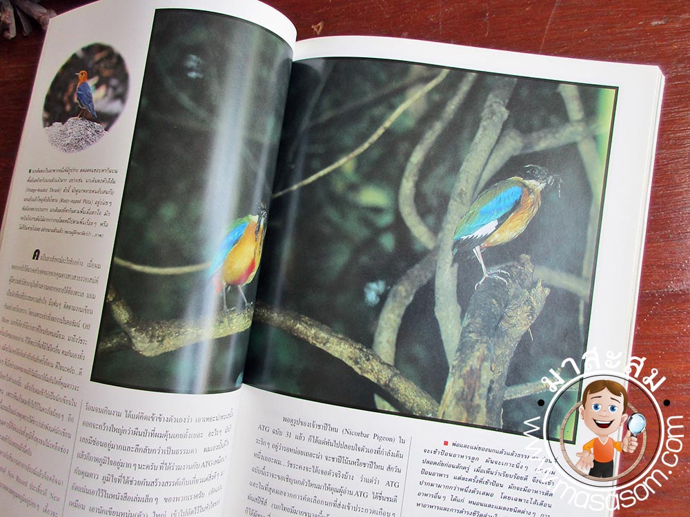 หนังสือเก่า Advance Thailand Geographic