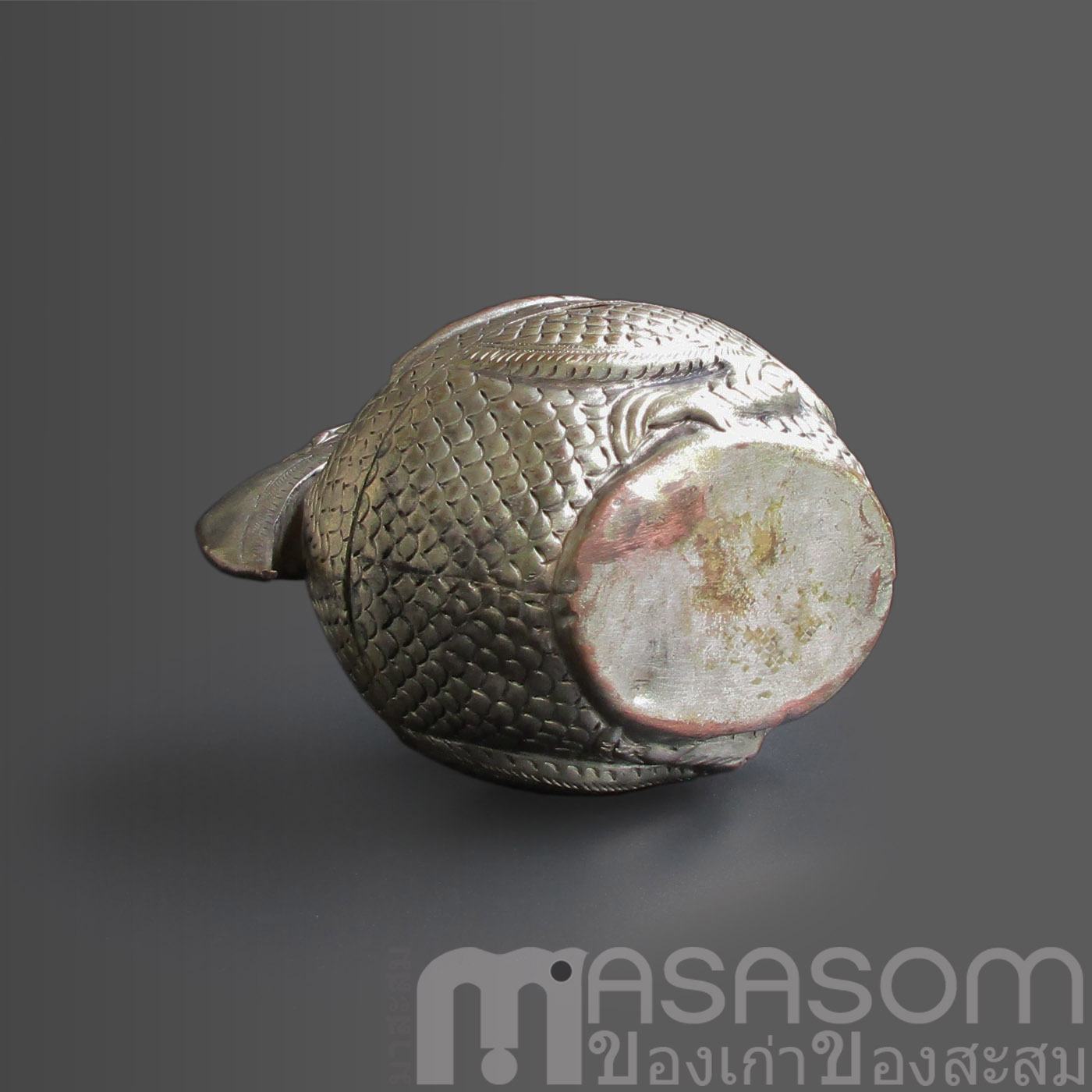 ตลับนกเงือกทองแดงกะไหล่เงิน