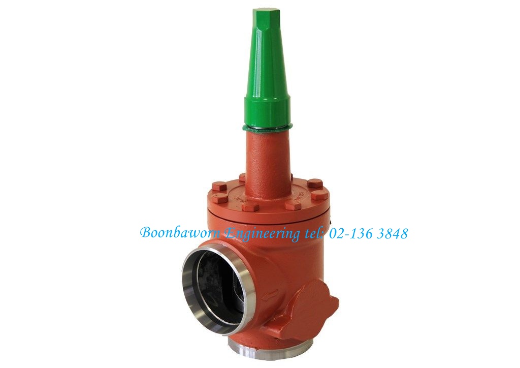 Stop Check Valve