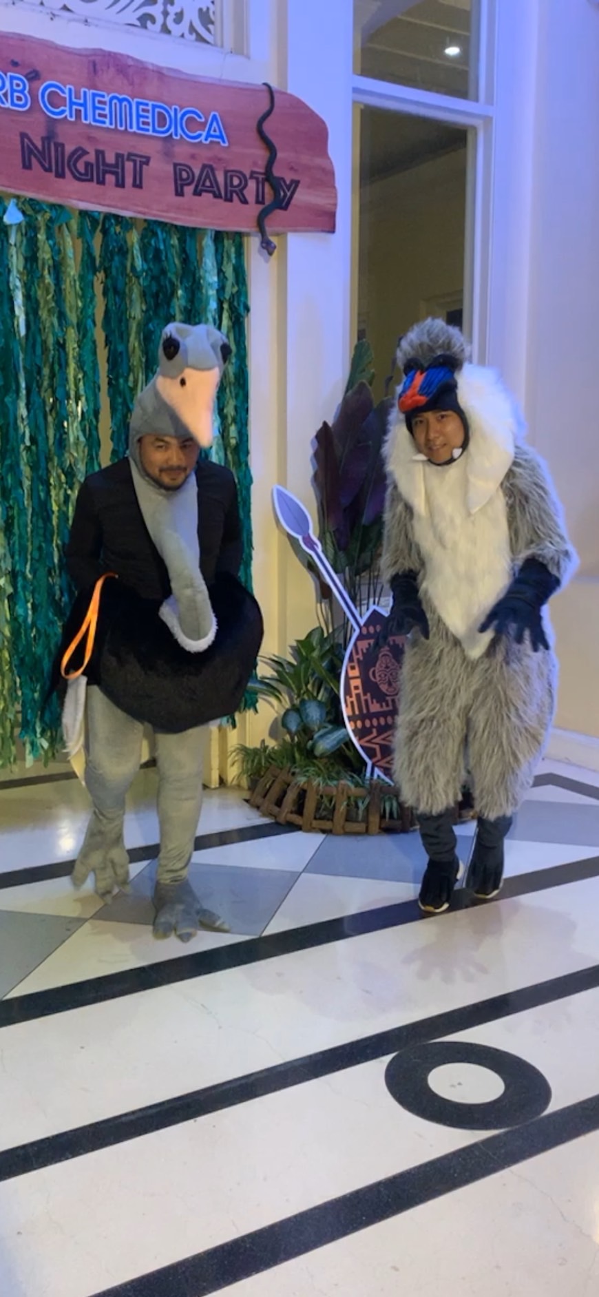 ชุดนกกระจอกเทศ