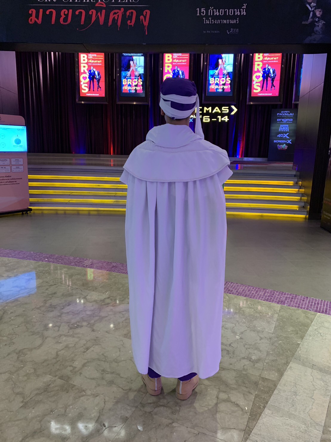 ชุดพิคโกโร่