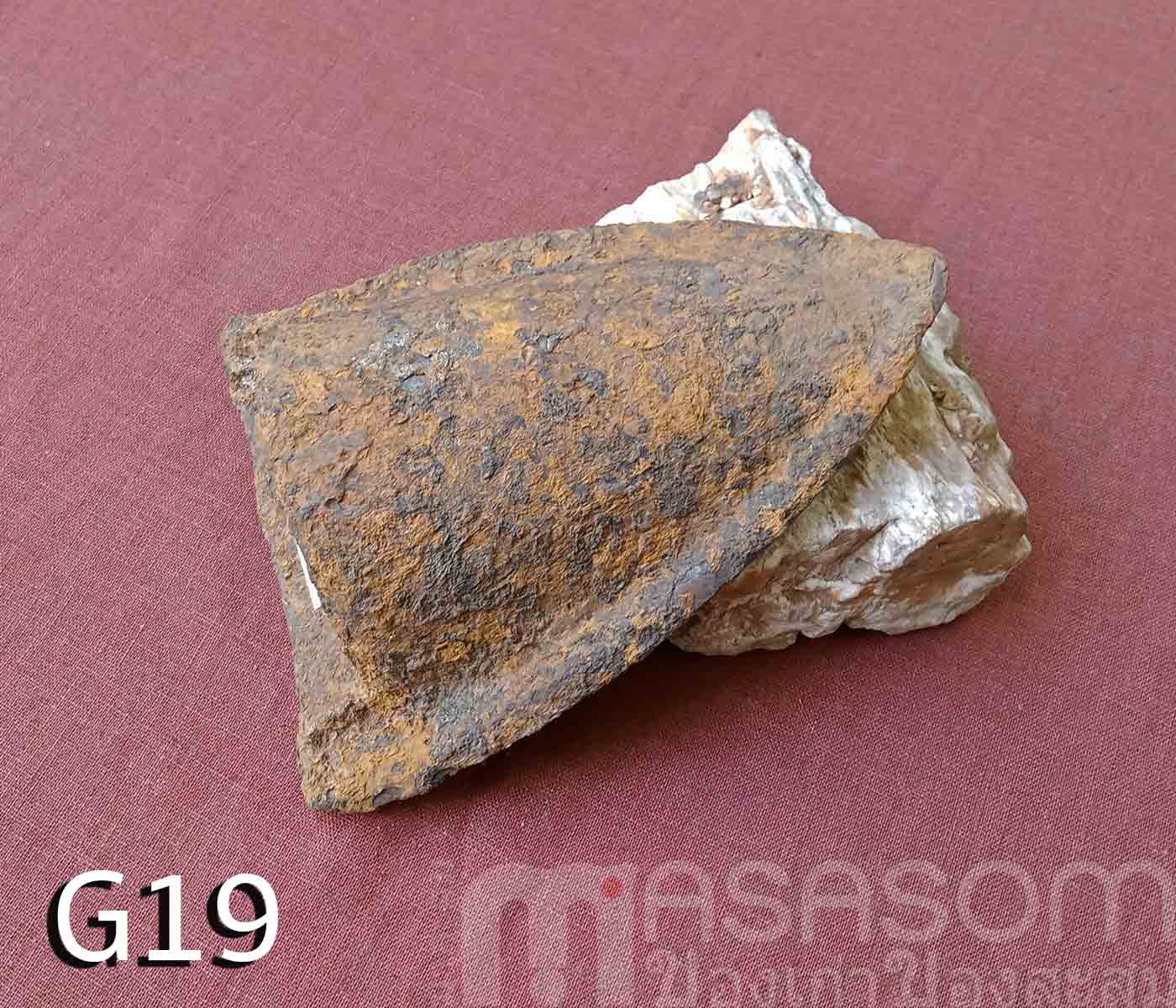 ผานไถนาโบราณ G19