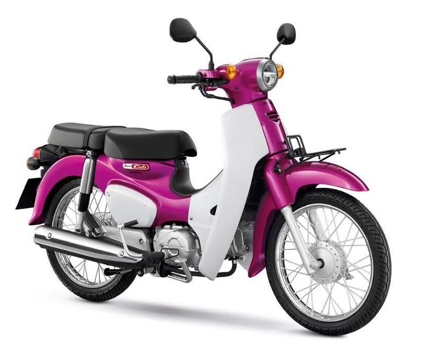 ชุดสี Super Cup ปี 2018