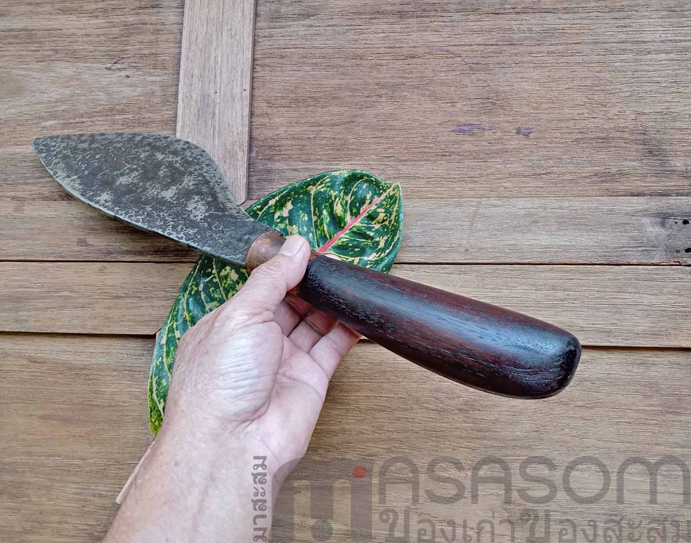 มีดเหน็บแบบมีดหมอ