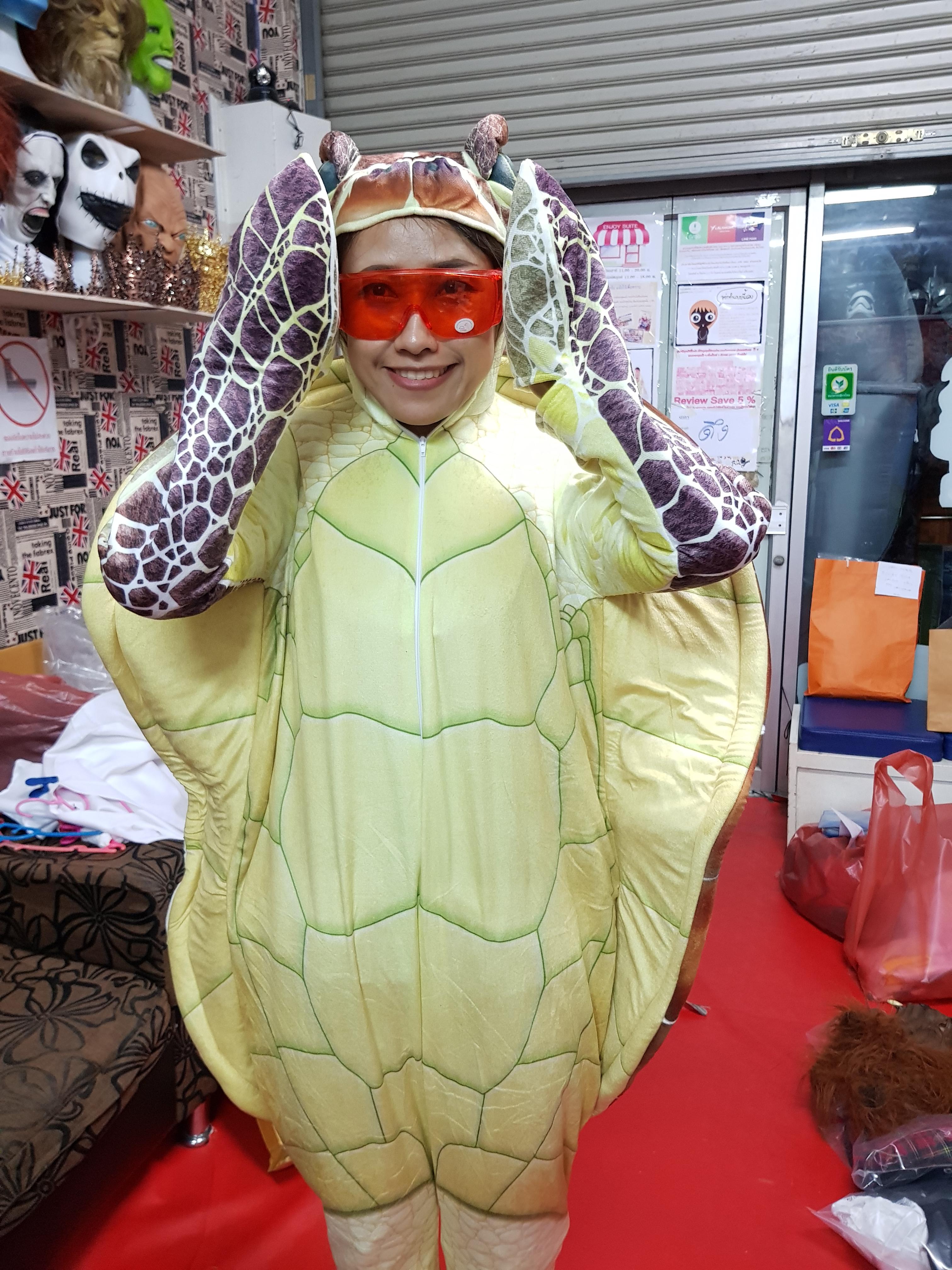 ชุดเต่าตนุ