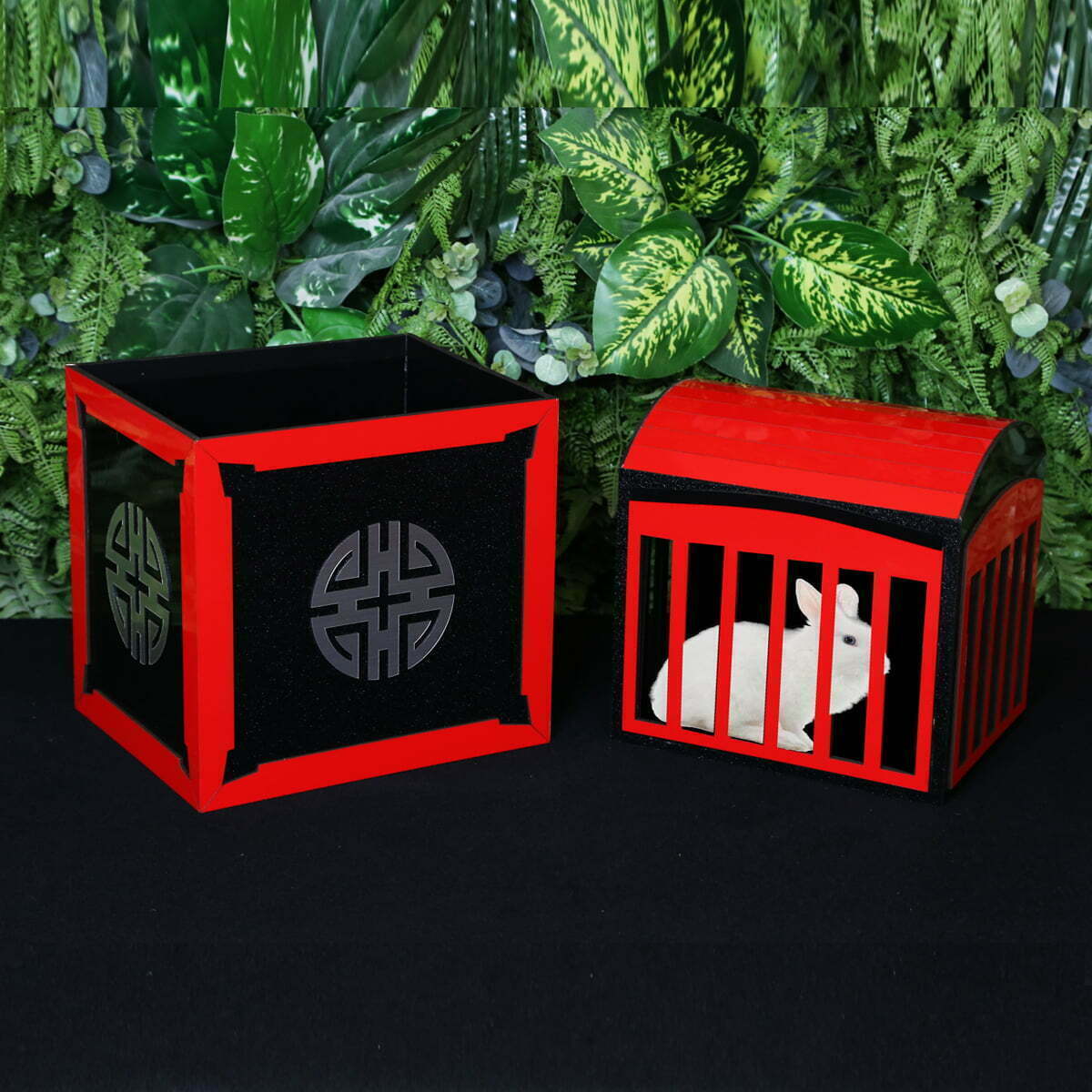 show cage
