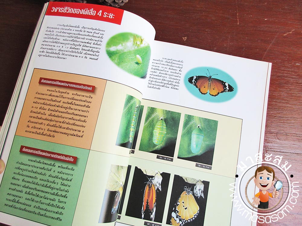 หนังสือเก่า Advance Thailand Geographic