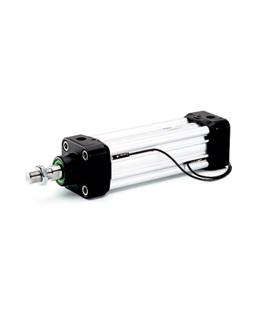 Cylinder P1D