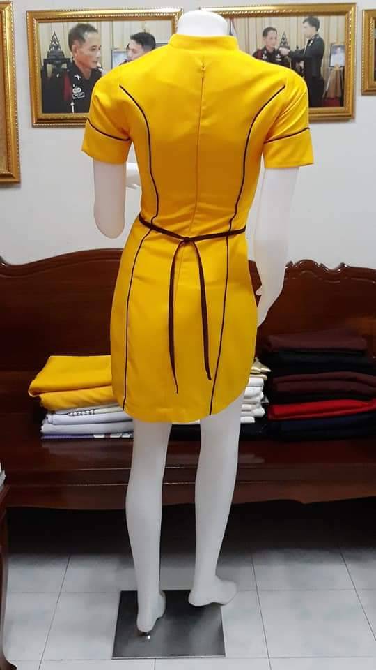 ชุดแอร์โฮสเตรส / ชุดอาชีพในฝัน