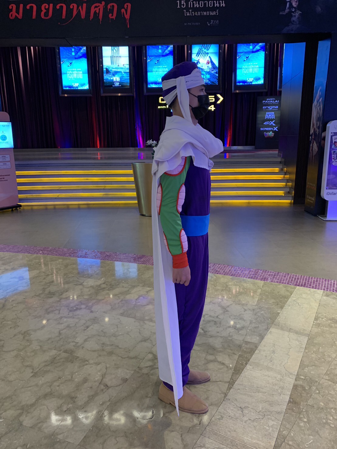 ชุดพิคโกโร่