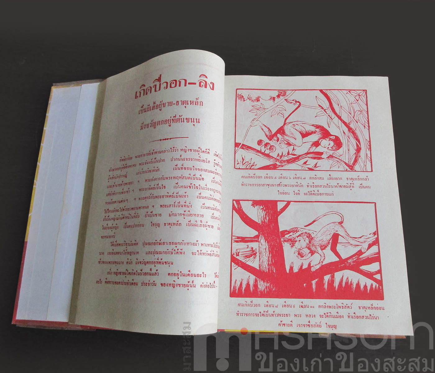 หนังสือตำราพรหมชาติ