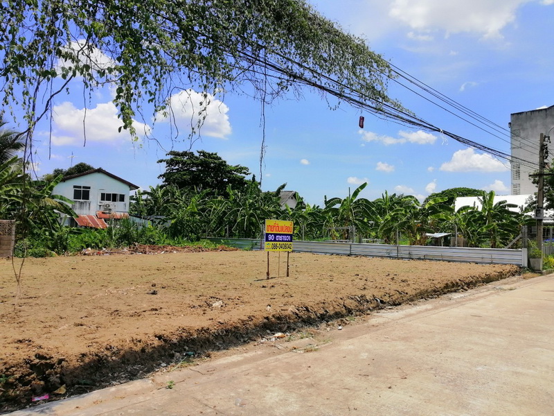 H1066 ขายด่วน ที่ดินถมแล้ว 90 ตร.วา อยู่ซอยงามวงศ์วาน31 แยก16 ใกล้พันธ์ทิพย์ งามวงศ์วาน ที่สวย กว้าง 22 เมตร ลึก 15 เมตร เข้าออกถนนประชาชื่นได้