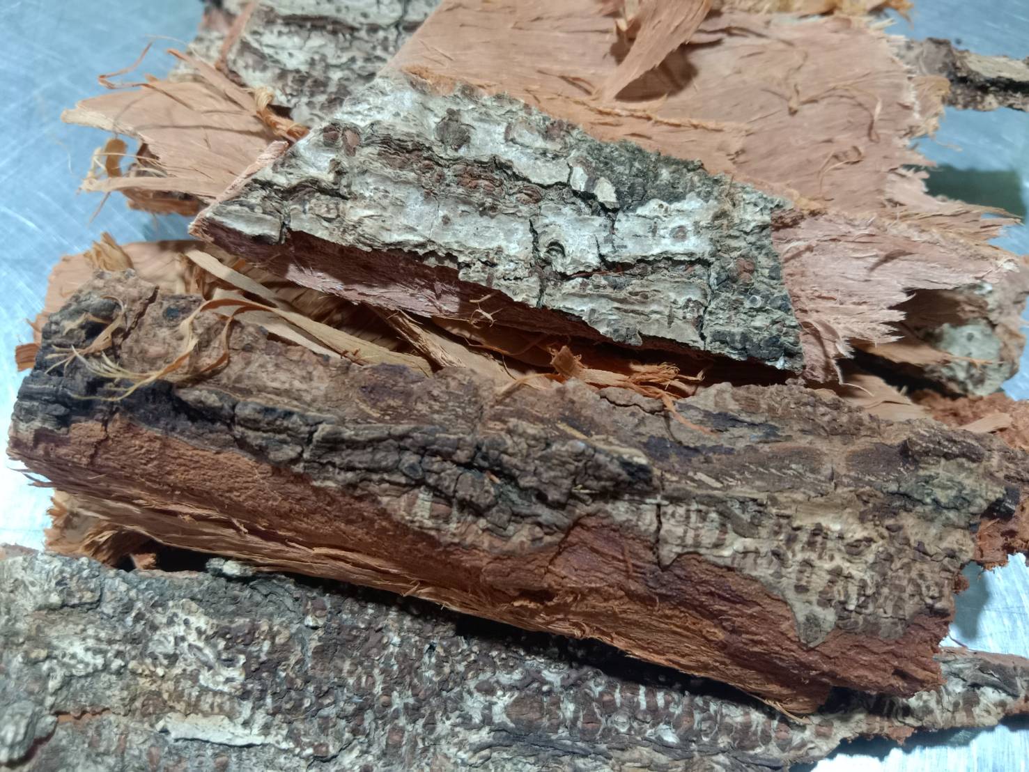 นนทรี