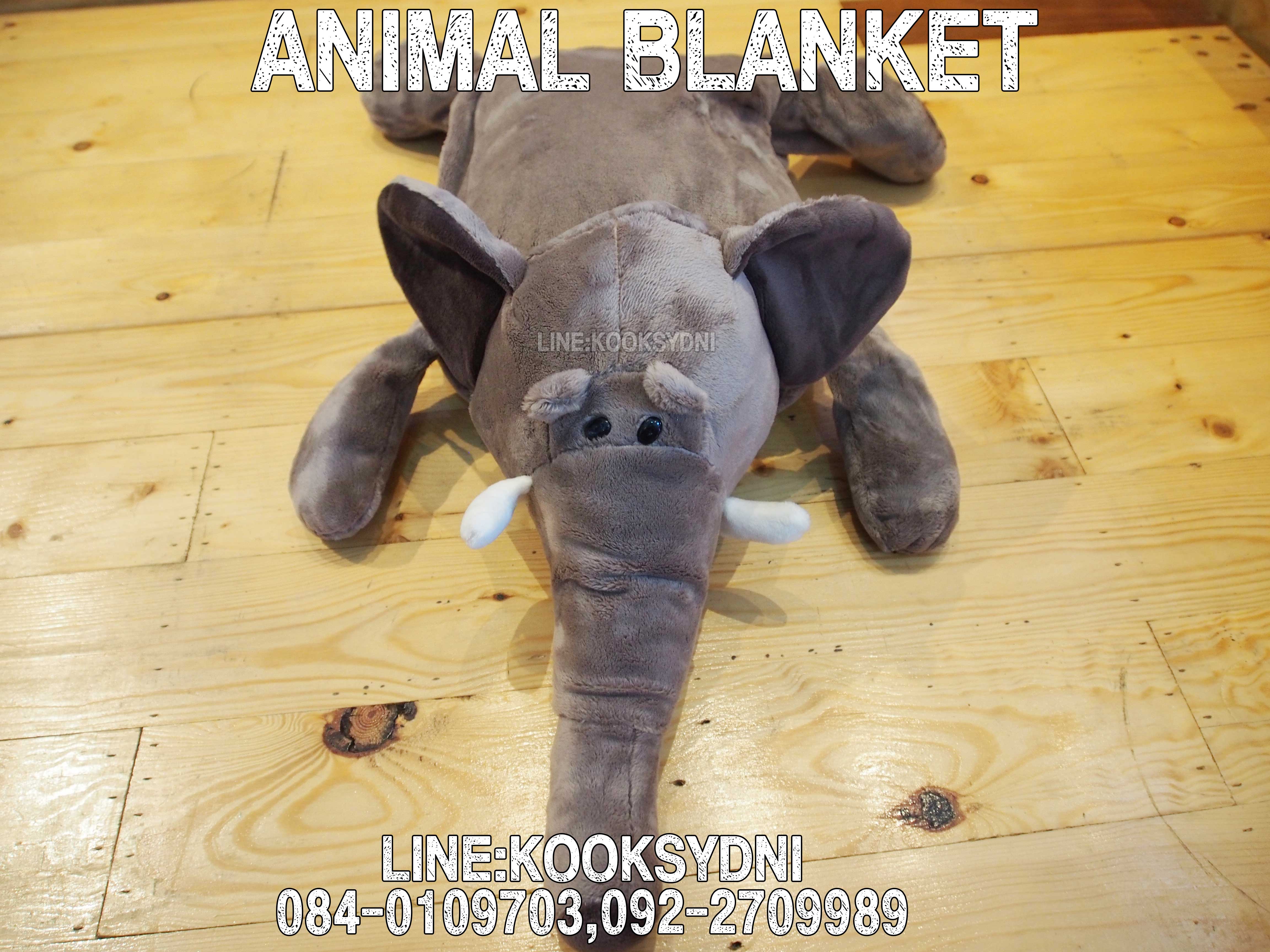 ANIMAL BLANKET ช้างช้างช้าง ( ด้านในอีกสี )