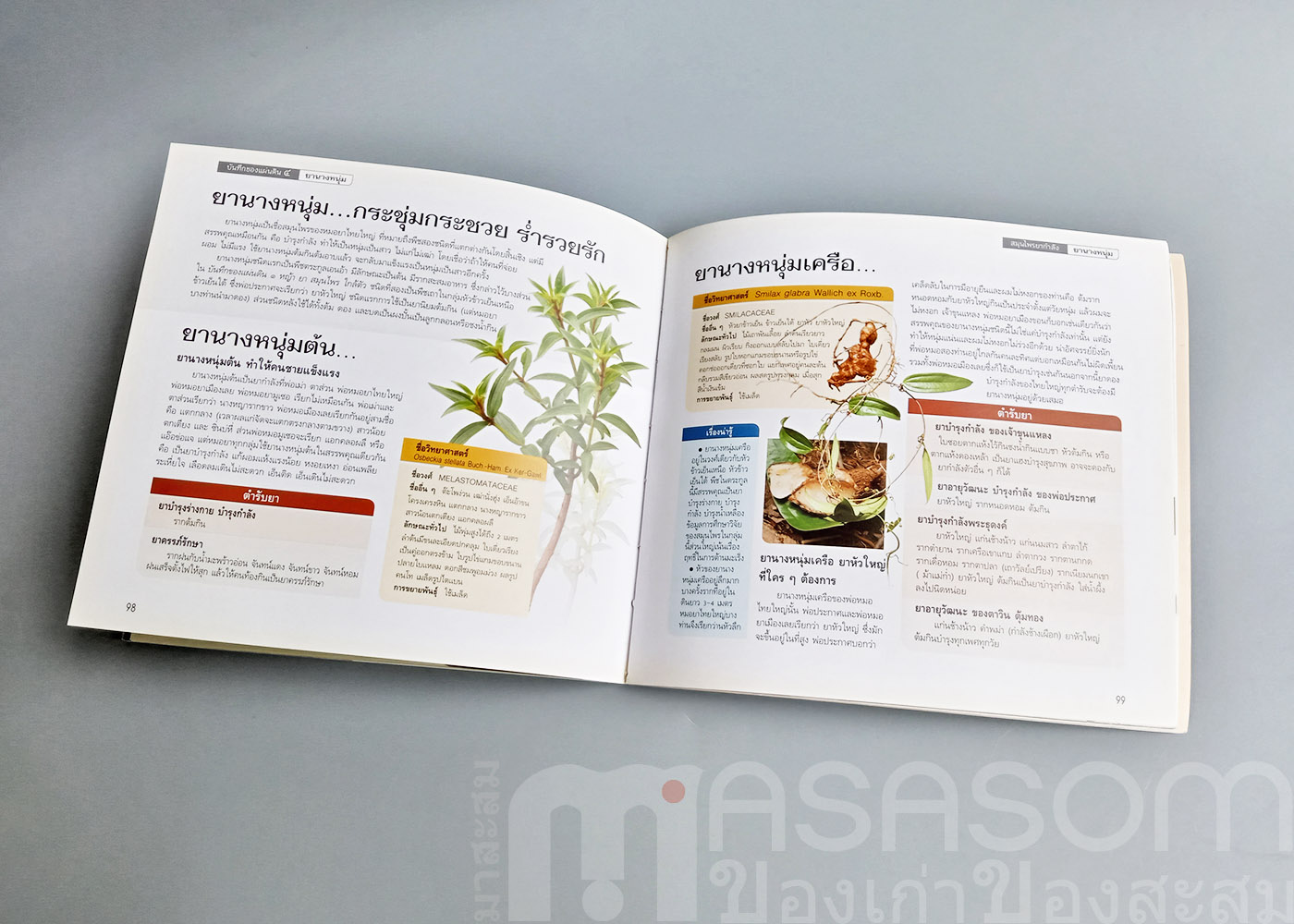หนังสือสมุนไพร ยากำลัง