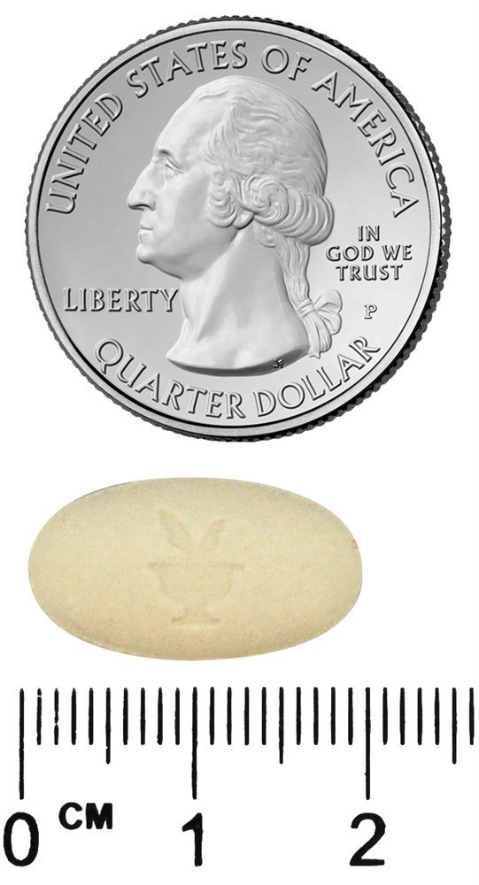 Youtheory™ Collagen Advanced Formula Type 1,2 & 3 290 Tablets