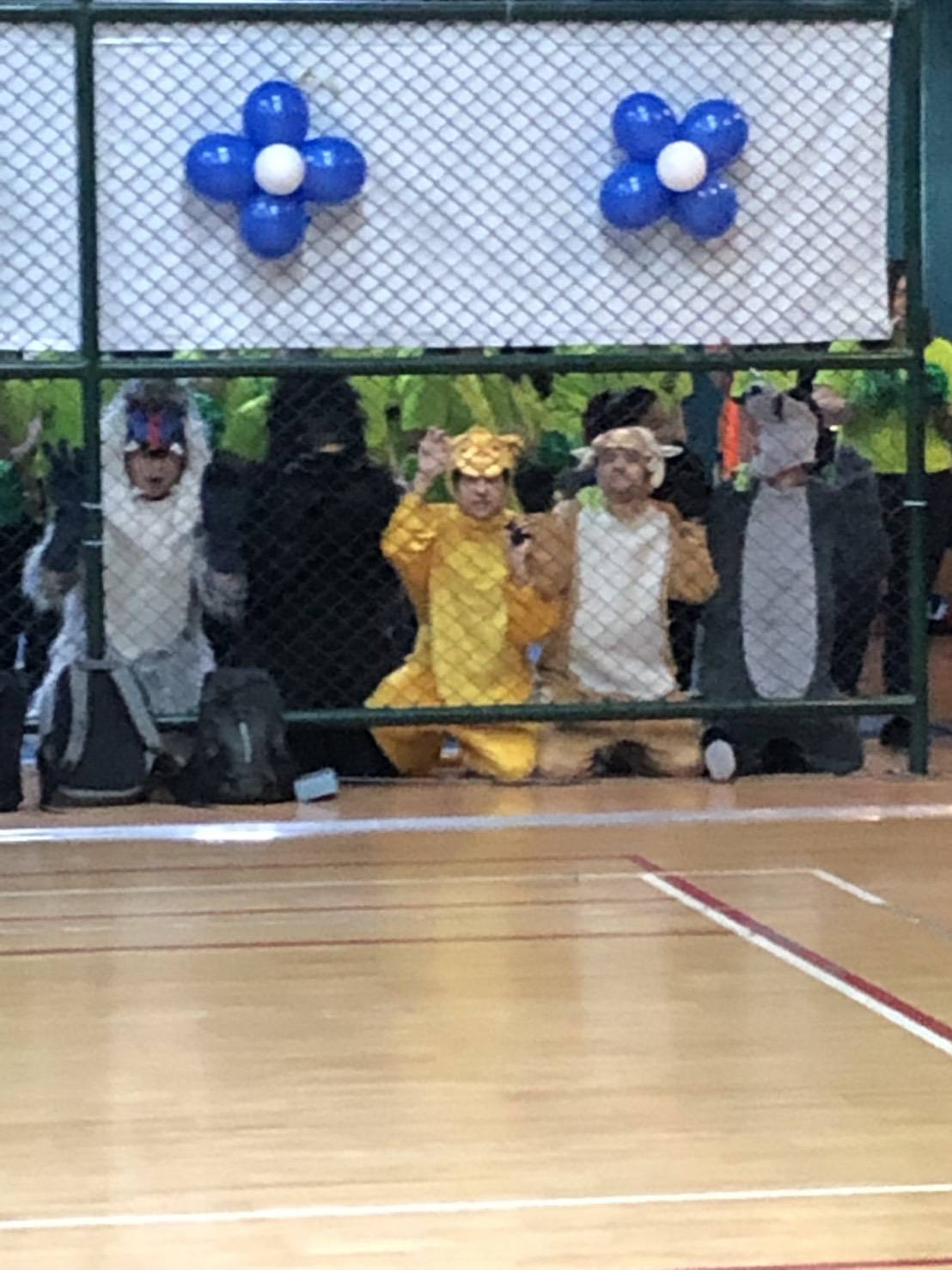 ชุดคิงคอง / ชุดลิง / ชุดกอริลลา