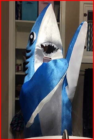 ชุดปลาฉลาม