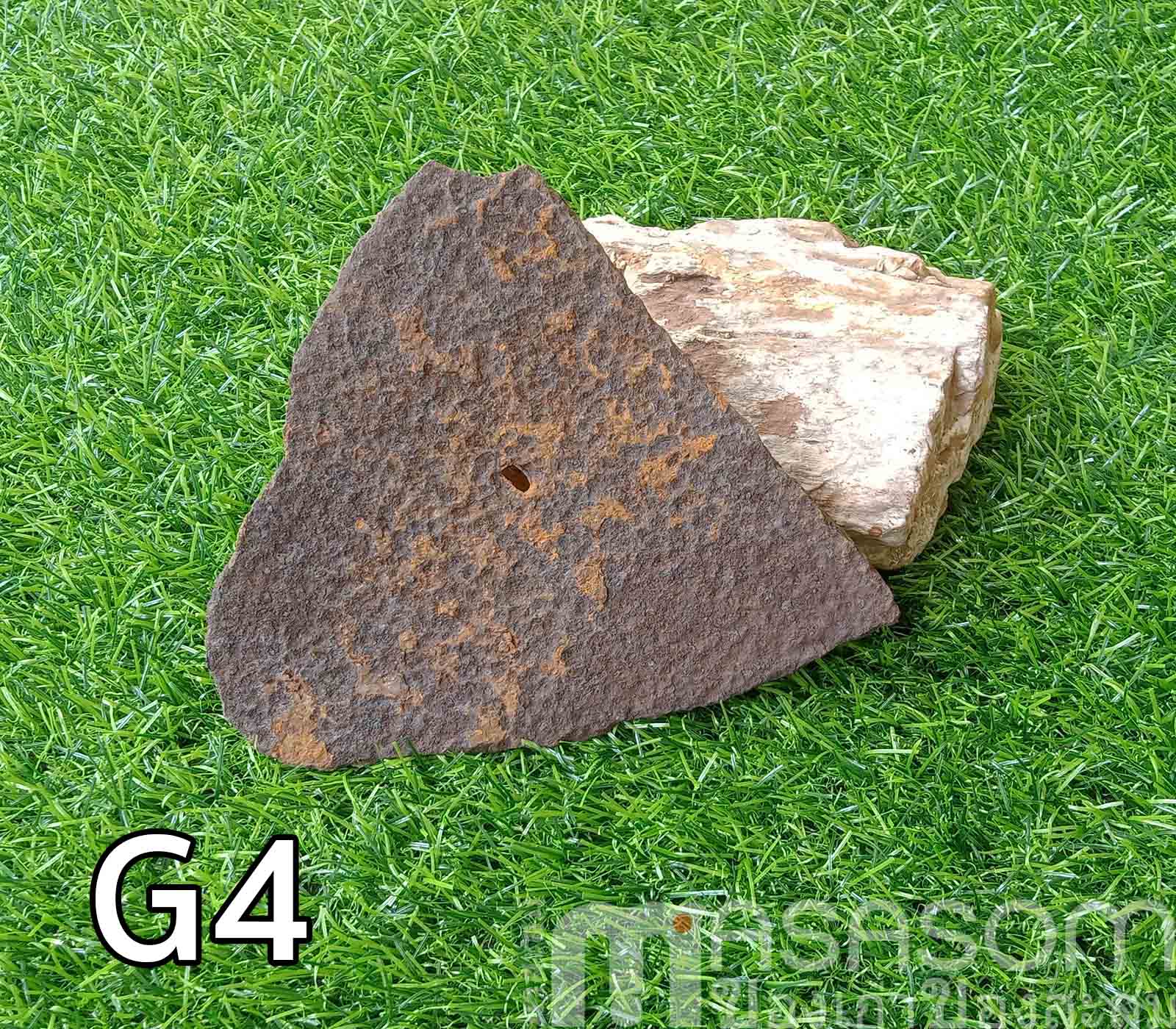 ผานไถนาโบราณ G4