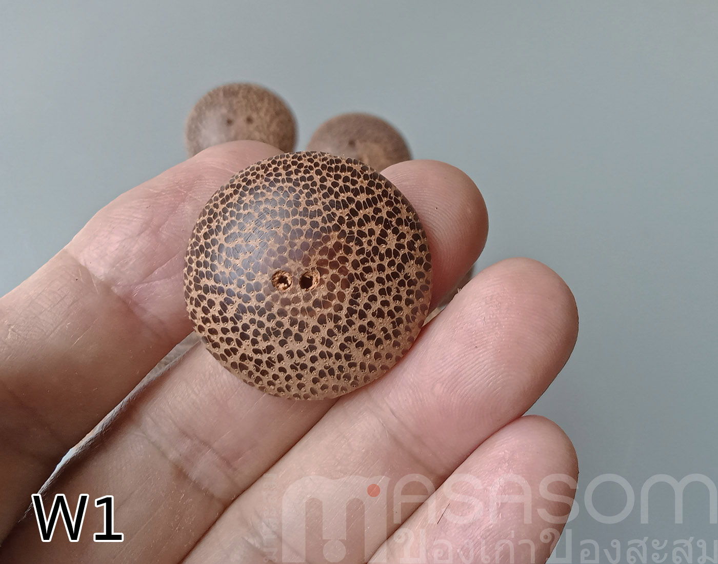 กระดุมไม้