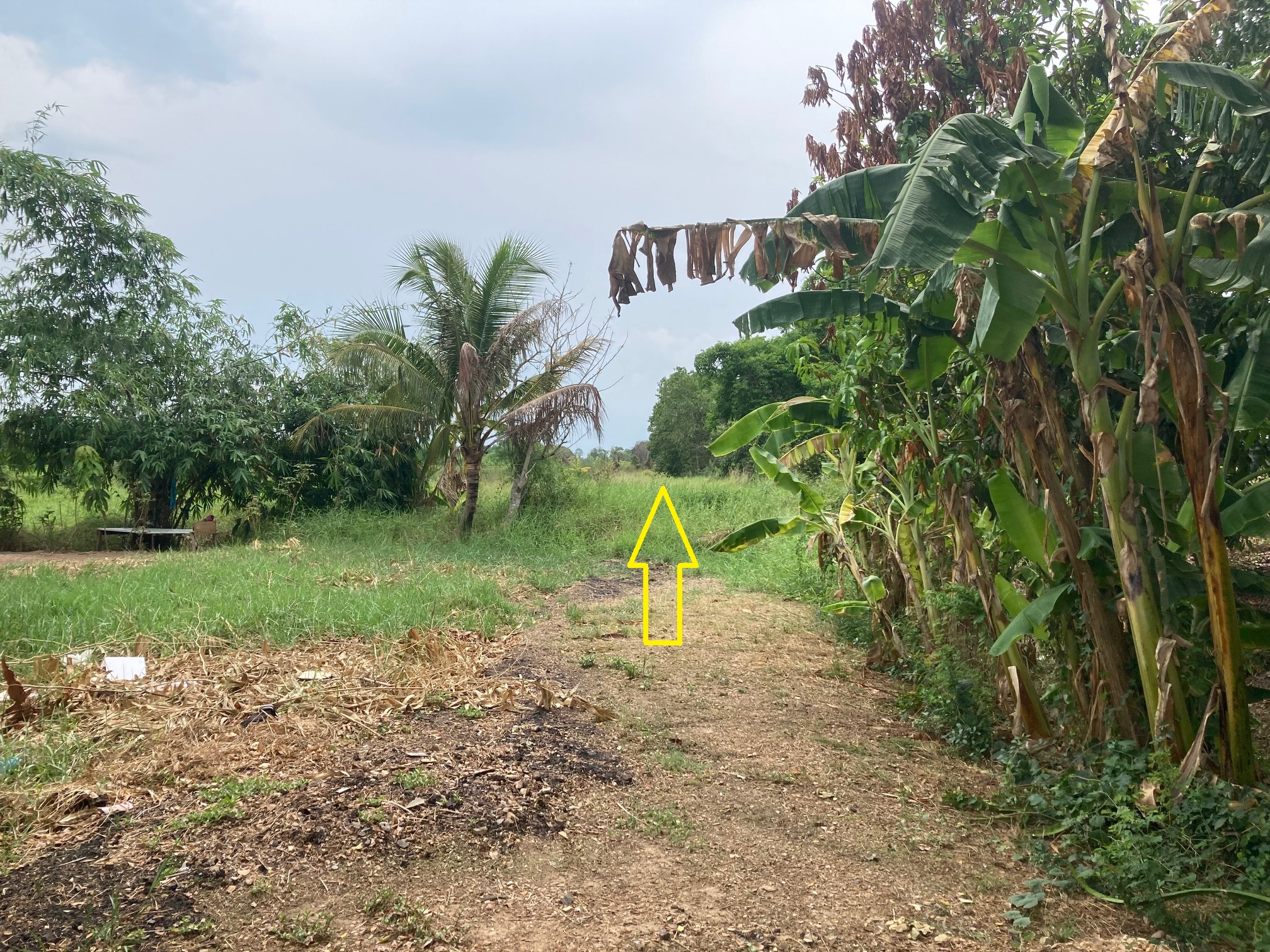 H1195 ขายที่ดินเปล่า 404 ตารางวา ใกล้วัดป่าคลอง11 ซอยร่มเย็น หนองเสือ ปทุมธานี เหมาะทำบ้านสวน