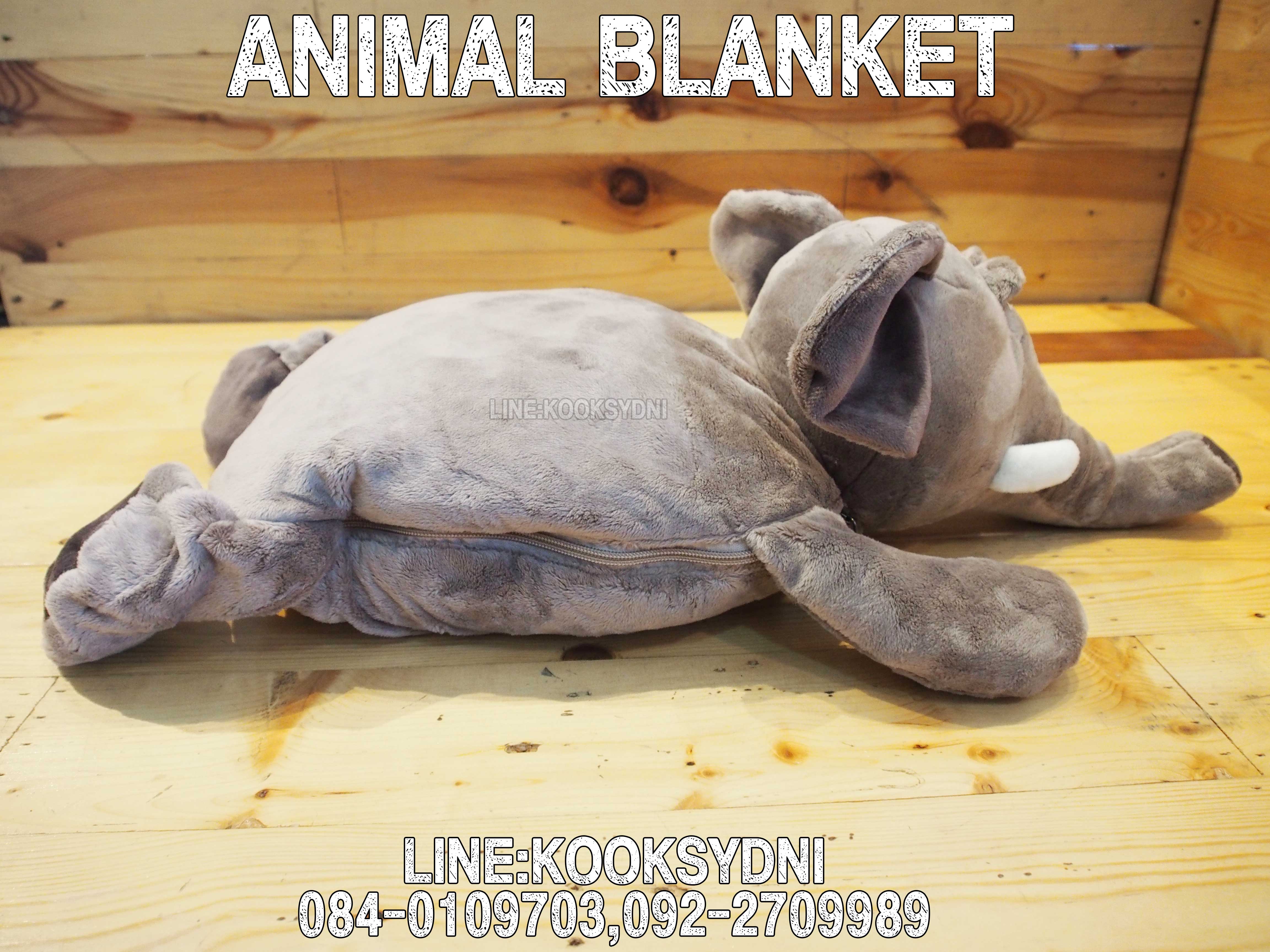 ANIMAL BLANKET ช้างช้างช้าง