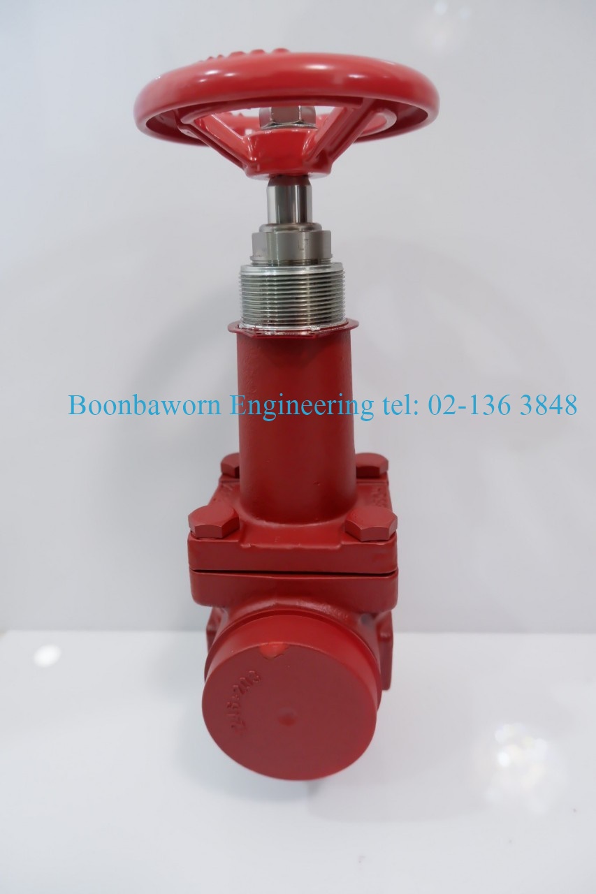 STOP VALVE HANDWHEEL ANGLEWAY (พวงมาลัย)ฉาก